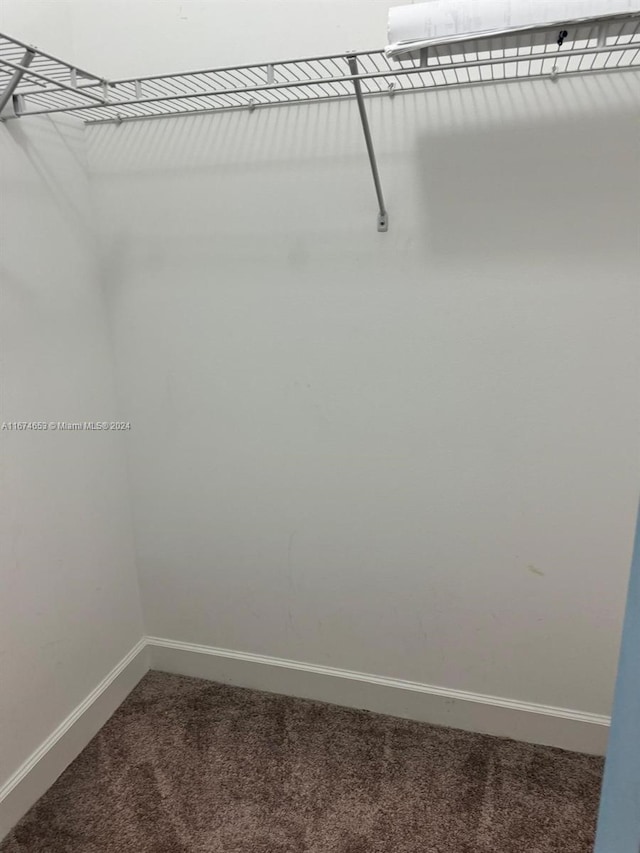 spacious closet featuring carpet