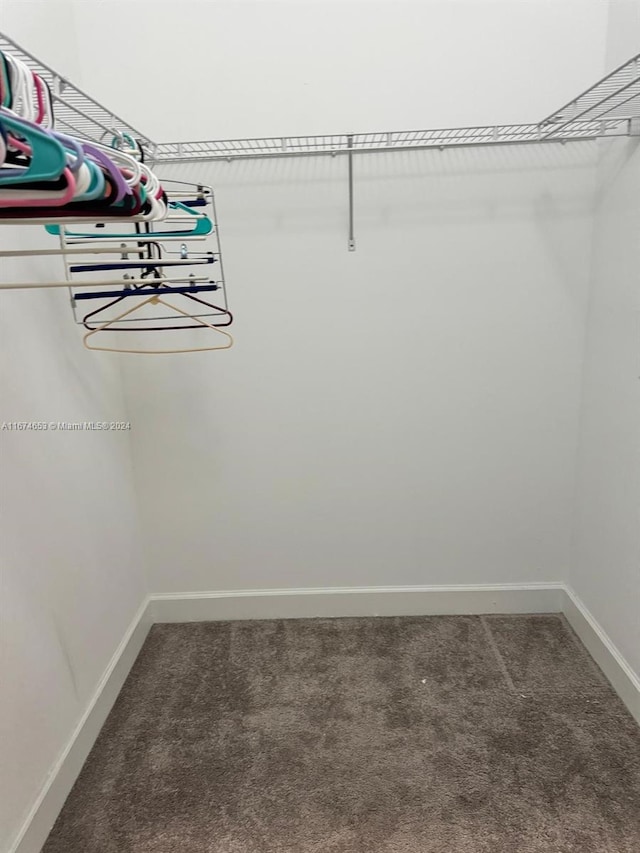 spacious closet with carpet flooring