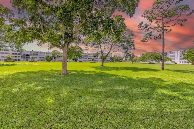 view of yard at dusk