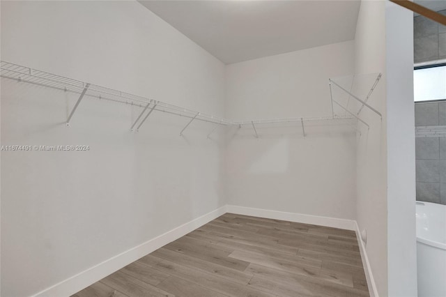 walk in closet featuring wood-type flooring