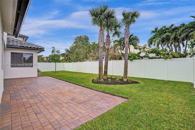 view of yard with a patio