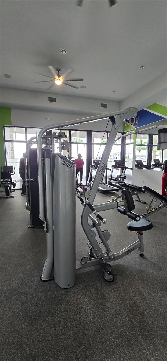 exercise room with ceiling fan and a wealth of natural light