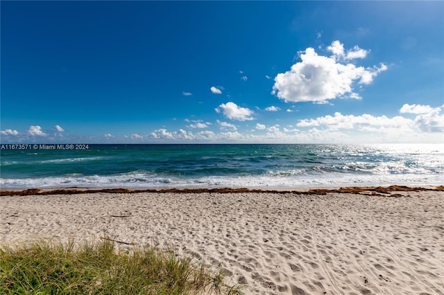 water view featuring a view of the beach