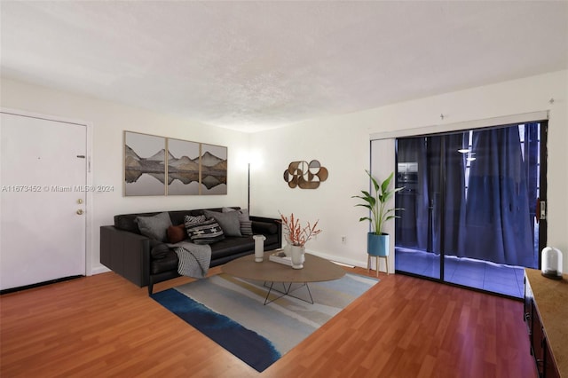 living room featuring hardwood / wood-style flooring