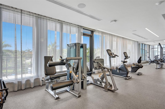 exercise room featuring expansive windows