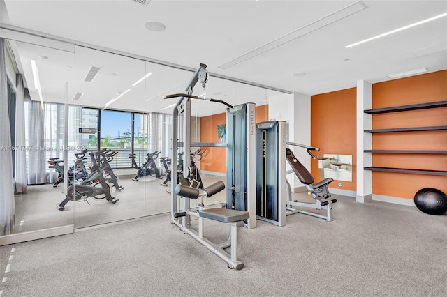 gym with floor to ceiling windows