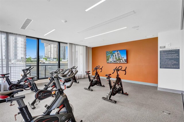 workout area featuring a wall of windows