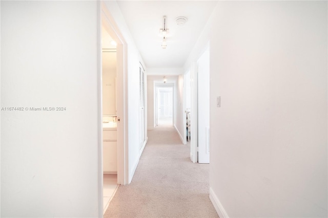 1408 Brickell Bay Dr Unit 1415 & 1416, Miami, FL 33131 - hallway with light carpet and baseboards
