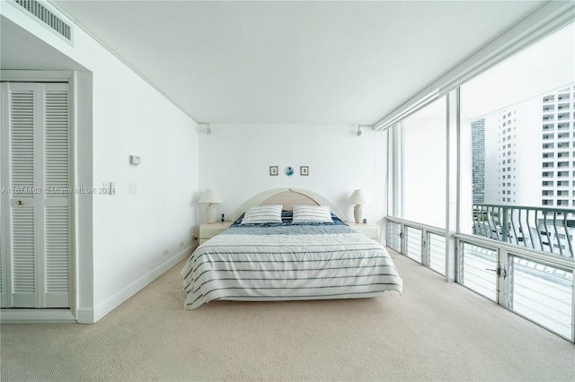 carpeted bedroom with a closet