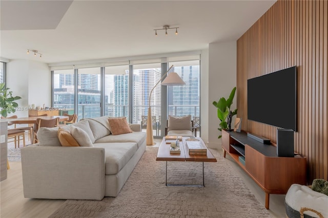 living room featuring wood walls, light hardwood / wood-style flooring, a wealth of natural light, and track lighting