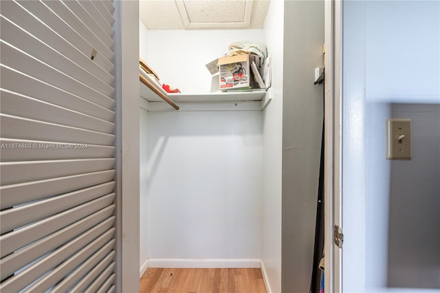 walk in closet with light hardwood / wood-style flooring