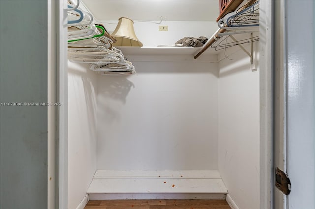 walk in closet with wood-type flooring