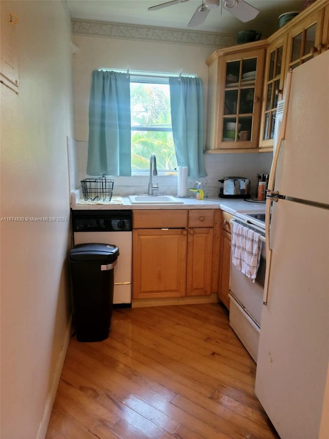 kitchen with light wood-type flooring, ceiling fan, white appliances, sink, and backsplash