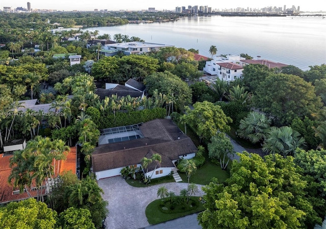 drone / aerial view with a water view