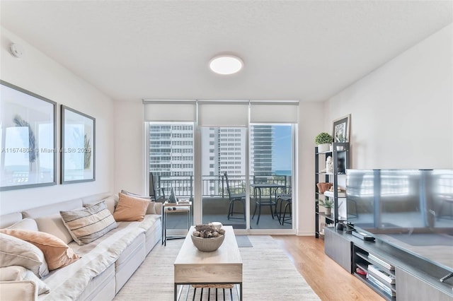 2080 S Ocean Dr Unit 506, Hallandale Beach, FL 33009 - living room with light wood-type flooring