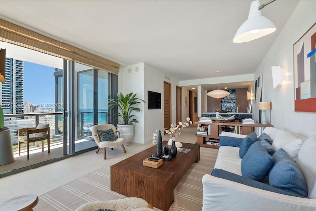 living room featuring expansive windows