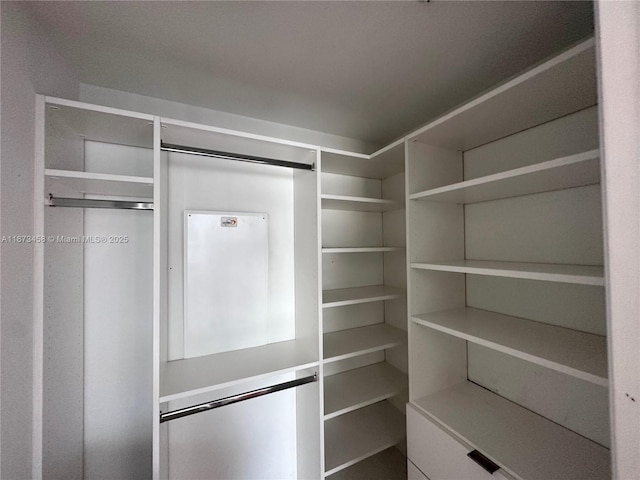 view of spacious closet