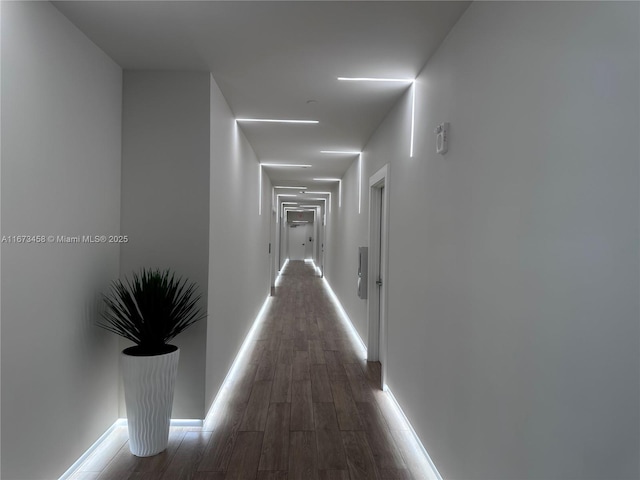 hallway with dark wood-type flooring