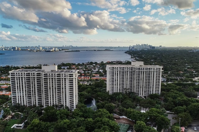 aerial view with a water view