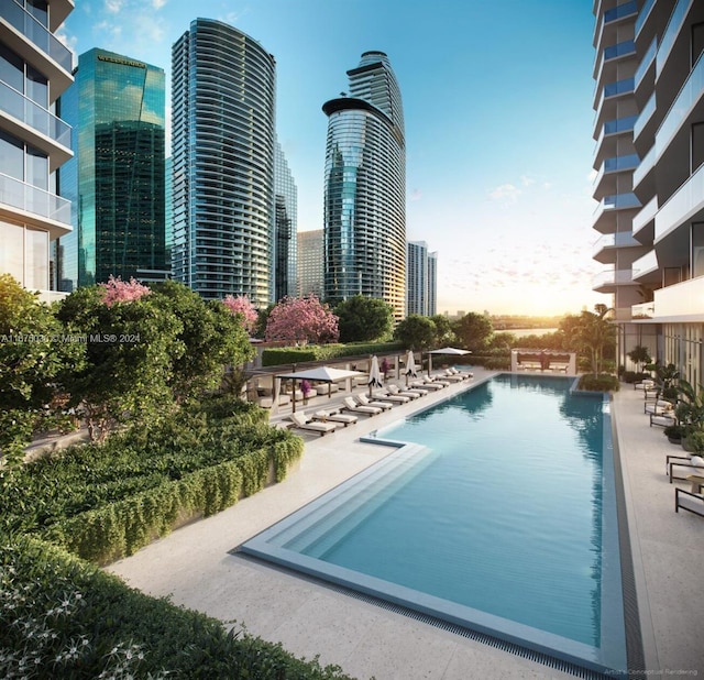 view of pool featuring a patio