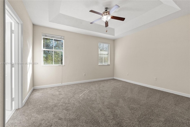 spare room featuring light carpet, a tray ceiling, and plenty of natural light