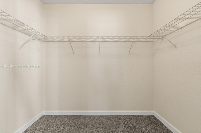 walk in closet with carpet flooring