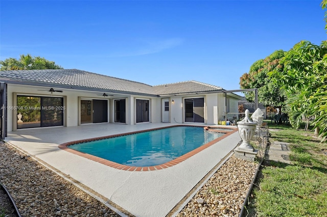 view of pool featuring a patio area and ceiling fan