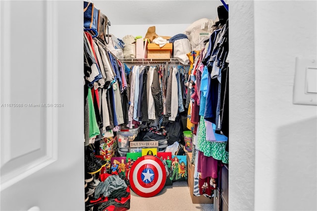 spacious closet with carpet floors