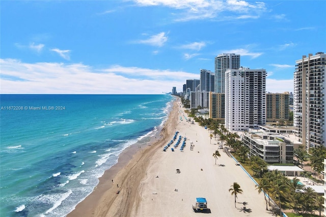 water view featuring a beach view