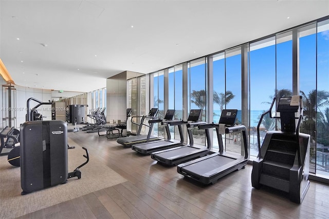 workout area featuring hardwood / wood-style flooring and floor to ceiling windows