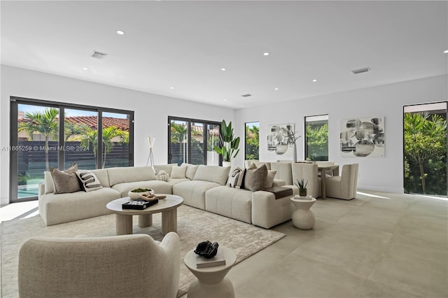 living room with a wealth of natural light