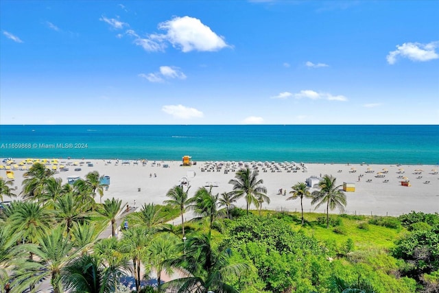 water view featuring a beach view