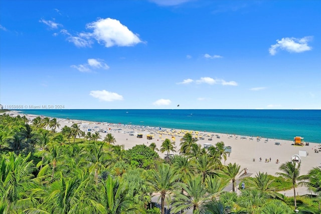 water view featuring a beach view