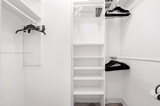 view of walk in closet