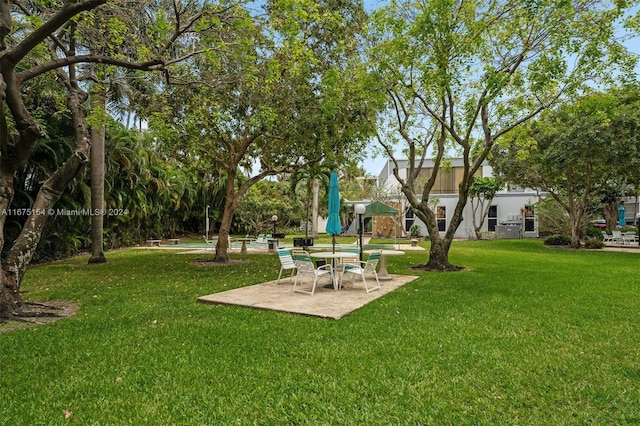 view of yard featuring a patio area