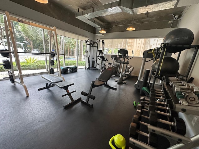 exercise room featuring plenty of natural light