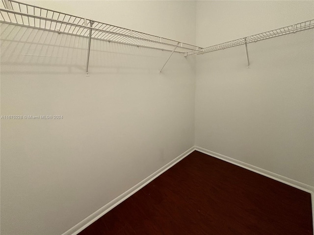 spacious closet featuring hardwood / wood-style flooring