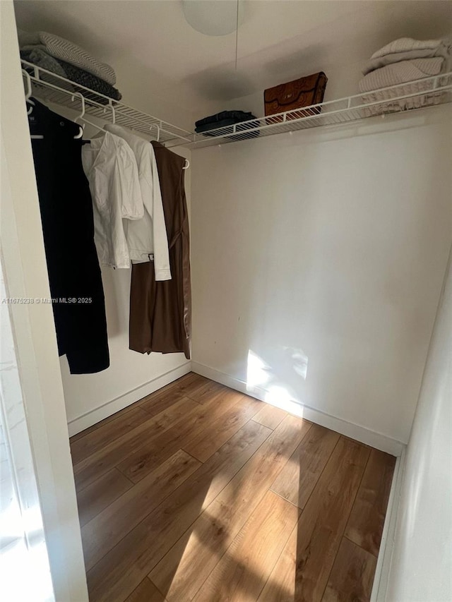 walk in closet with wood finished floors