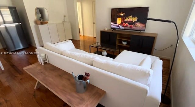 living room with wood-type flooring