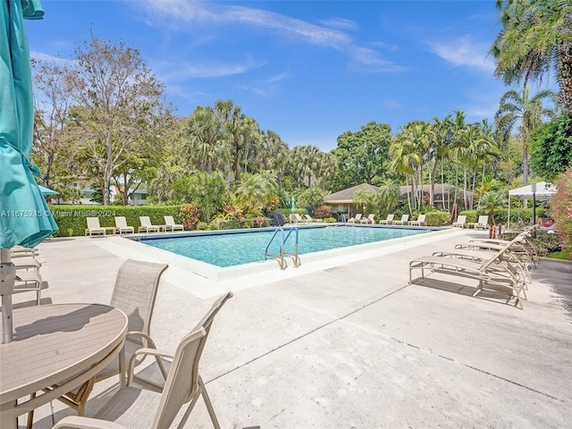 view of pool with a patio