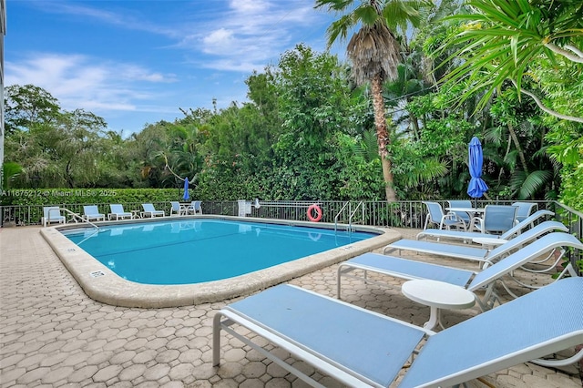 view of swimming pool with a patio