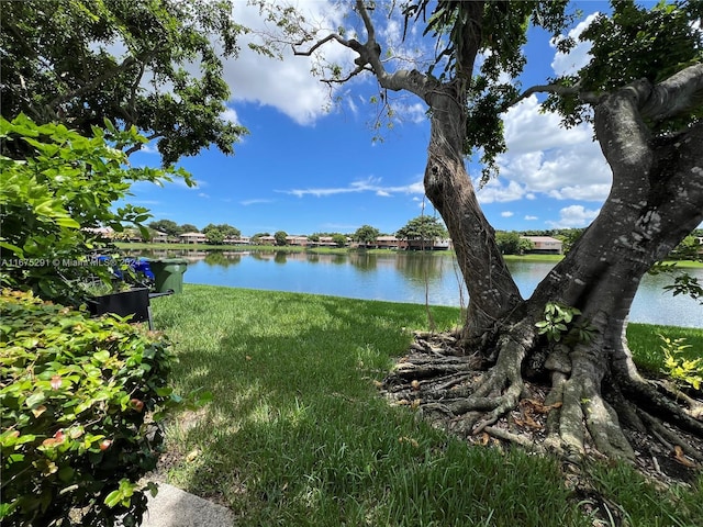 property view of water
