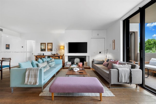 living room featuring expansive windows and wood-type flooring