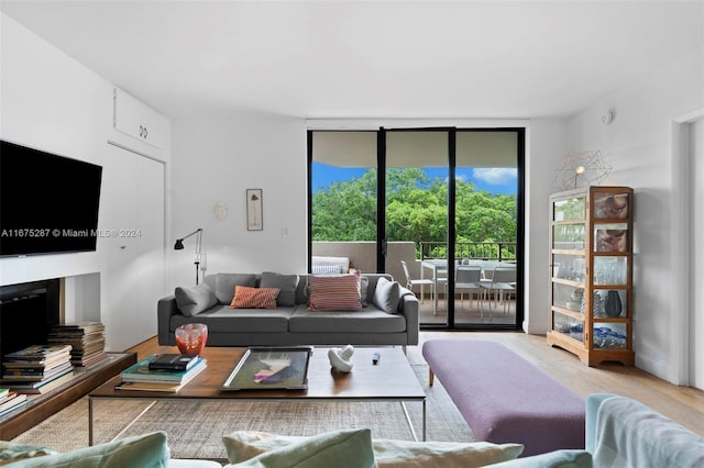 living room featuring light hardwood / wood-style floors and a wall of windows