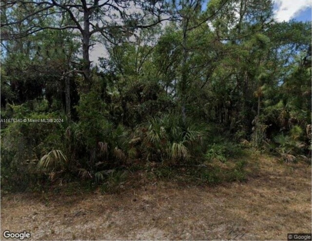 14235 Daniels Ave, Port Charlotte FL, 33953 land for sale