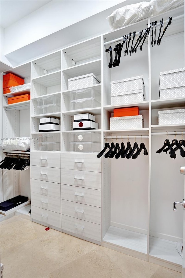 view of spacious closet