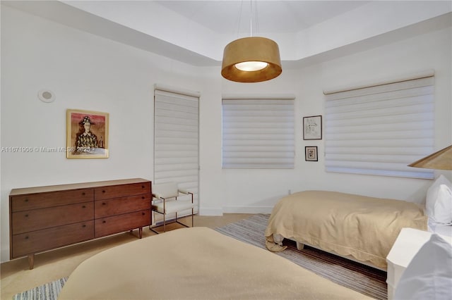 bedroom featuring a tray ceiling