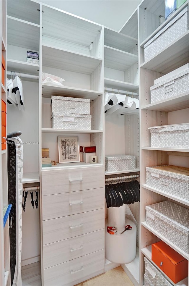 view of spacious closet