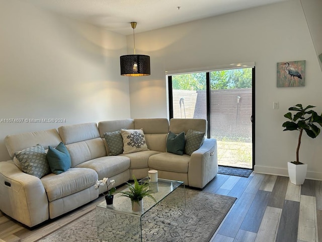 living room with wood-type flooring