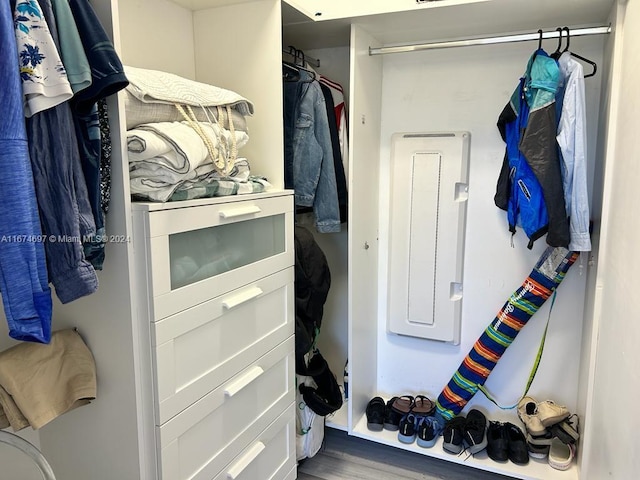 spacious closet with wood-type flooring